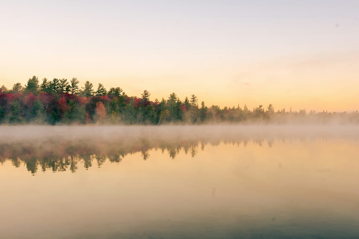 Still water at dawn